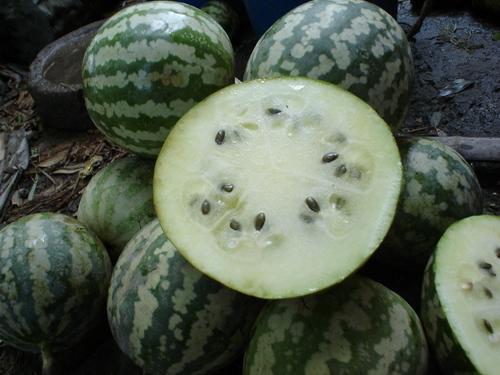 小彩瓜怎么吃,解锁美味新体验