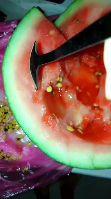 吃瓜吃籽不吐籽,品味生活真滋味