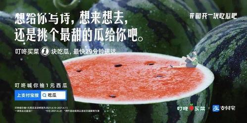 和吃瓜有关文案,揭秘娱乐圈那些吃瓜群众的幕后故事